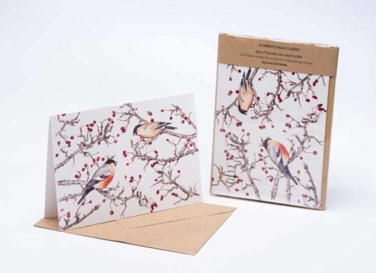 Irish Bullfinch Notecards
