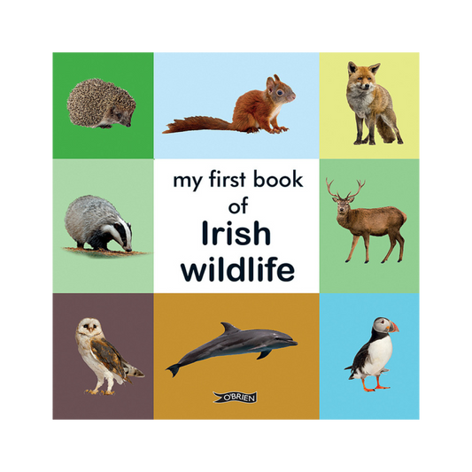 My First Book of Irish Wildlife
