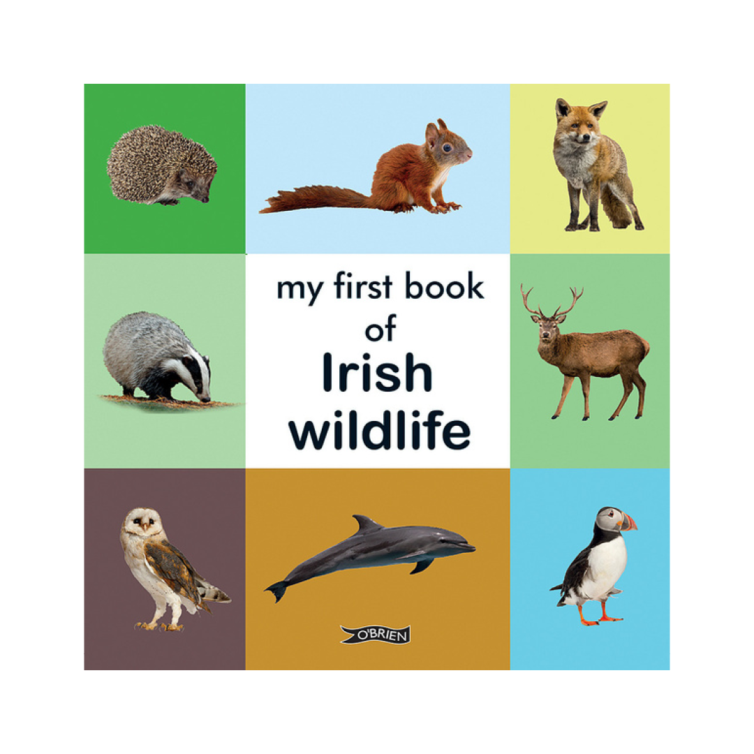 My First Book of Irish Wildlife