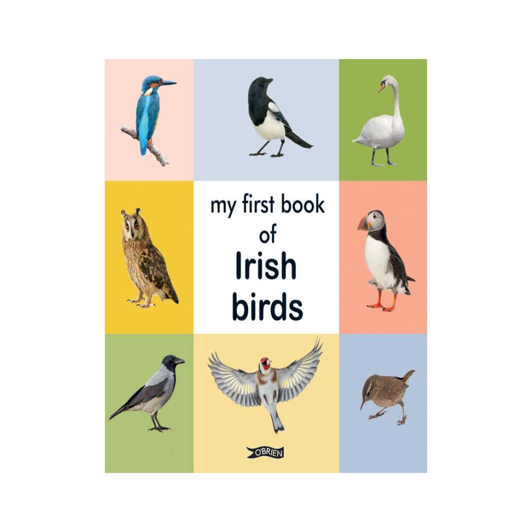 First Book of Irish Birds
