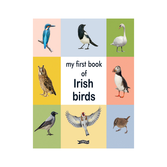 First Book of Irish Birds