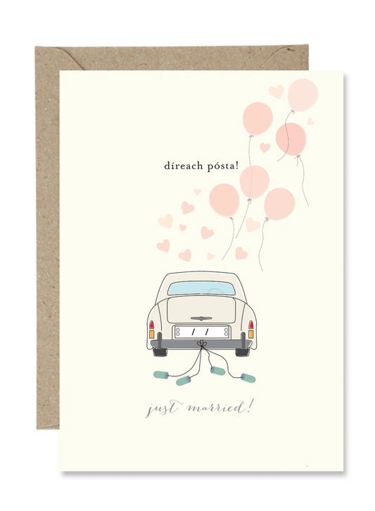 Díreach Pósta! (Paper Gull)