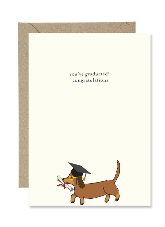You've Graduated! Congratulations (Paper Gull)