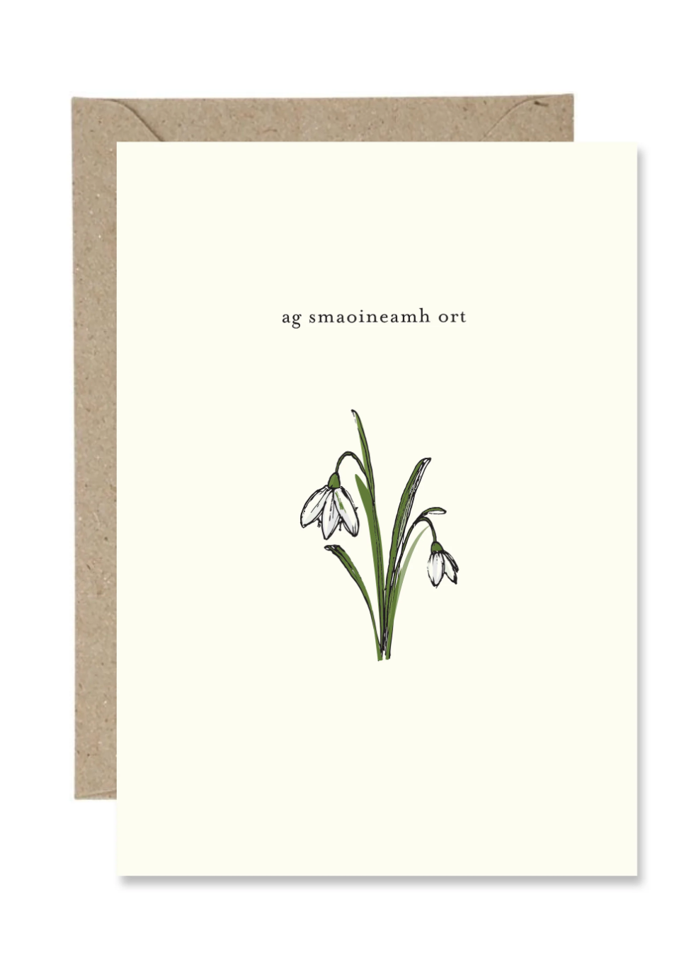 Ag Smaoineamh Ort (Paper Gull)