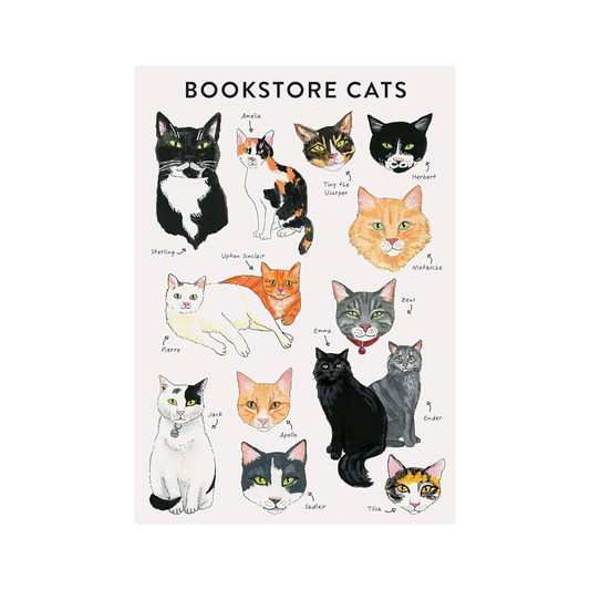 Bookstore Cats Notebook