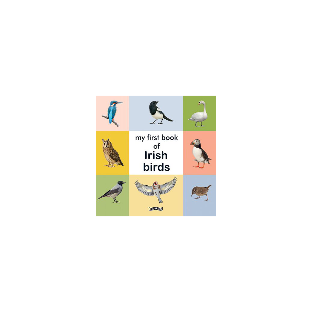First Book of Irish Birds