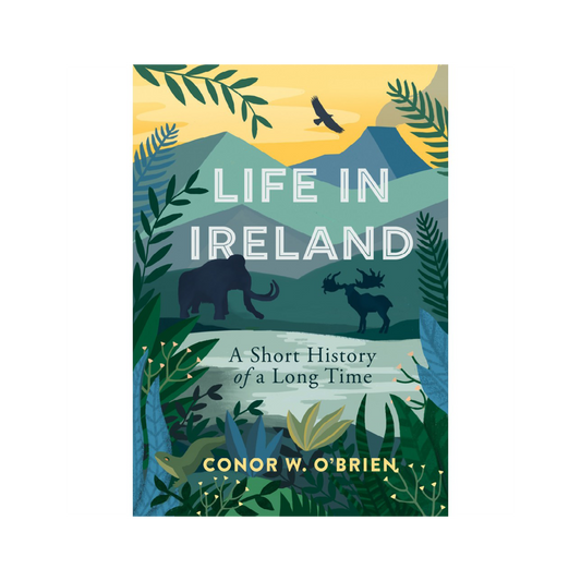 Life in Ireland: A Short History of a Long Time